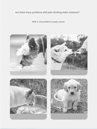 Portable Dog Water Bottle - Leak-Proof Pet Travel Water