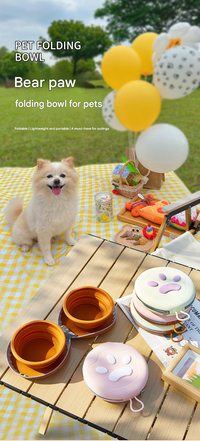 And Yellow Portable Collapsible Silicone Pet Bowl - Food Grade