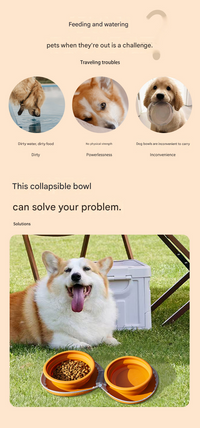 And Yellow Portable Collapsible Silicone Pet Bowl - Food Grade