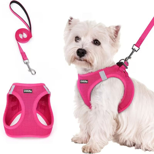 Breathable Dog Harness and Leash Set