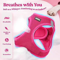 Breathable Dog Harness and Leash Set