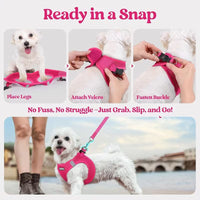 Breathable Dog Harness and Leash Set
