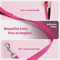 Breathable Dog Harness and Leash Set