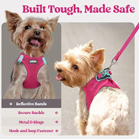 Breathable Dog Harness and Leash Set