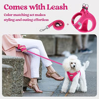 Breathable Dog Harness and Leash Set