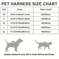 Breathable Dog Harness and Leash Set