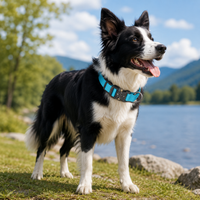 Tactical Dog Collar - Wide Padded Nylon Collar with Quick