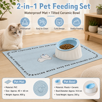 Pet Feeding Set - 15 Degree Tilted Ceramic Blue Bowl and Blue