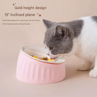 Pet Feeding Set - 15 Degree Tilted Ceramic Blue Bowl and Blue