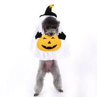 Halloween Pumpkin Ghost Dog Costume - Polyester Pet Fancy