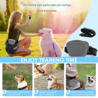 Portable Silicone Pet Water Bottle and Treat Pouch Set